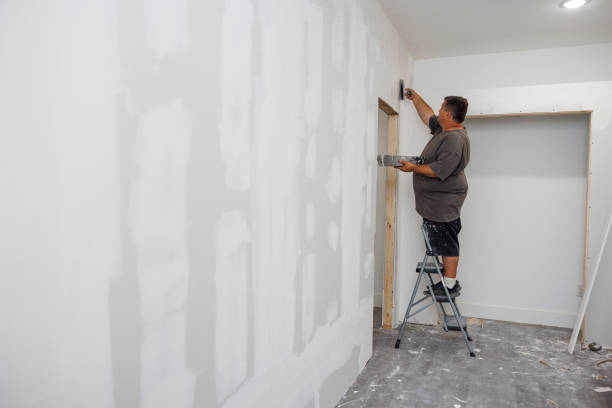 Reliable El Valle De Arroyo Seco, NM Mold Removal Solutions