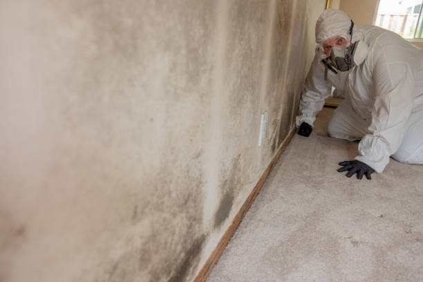 Best HVAC Mold Inspection and Cleaning  in El Valle De Arroyo Seco, NM