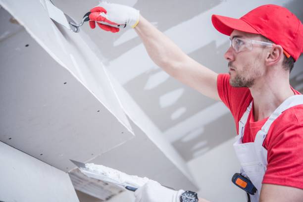 Best Mold Odor Removal Services  in El Valle De Arroyo Seco, NM